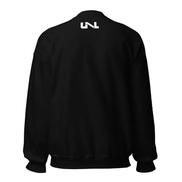 unisex crew neck sweatshirt black back 6591d8ad5922d scaled